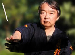 Meifu Shinkage Ryu